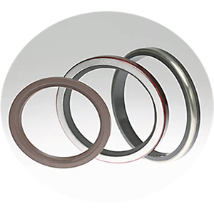 O-rings for Mechanical Seals